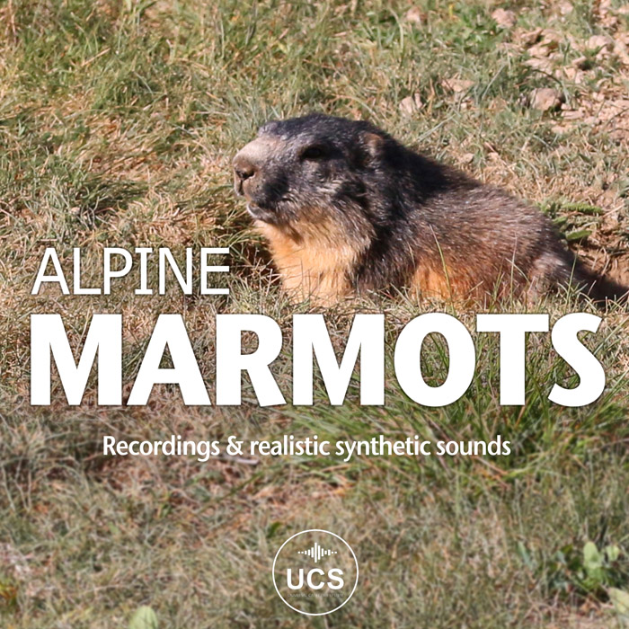 ALPINE MARMOTS COVER