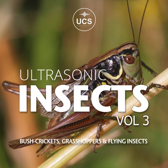 ULTRASONIC INSECTS VOL 3 COVER